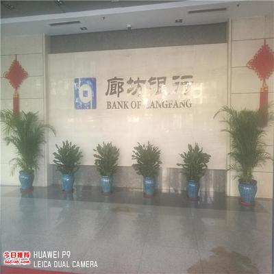 天津?qū)I(yè)花卉綠植租擺與銷(xiāo)售服務(wù)