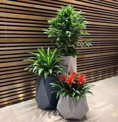 杭州綠植租賃-浙大團(tuán)隊(duì)品質(zhì)保障，花卉綠植租借一體化服務(wù)