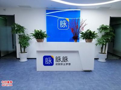 天津花卉租擺與綠植銷售 專業(yè)服務打造綠色辦公與生活空間