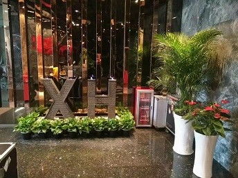 廣州鮮花綠植租賃服務(wù) 為城市空間注入盎然生機(jī)