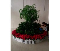 中水噴灌機(jī)卷盤式JP50 農(nóng)業(yè)高效澆灌與綠植養(yǎng)護(hù)的創(chuàng)新解決方案