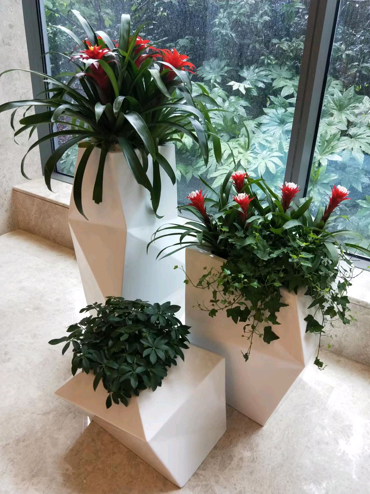 綠色生活，從專業(yè)租賃開始 一站式花卉綠植服務(wù)，打造詩意空間