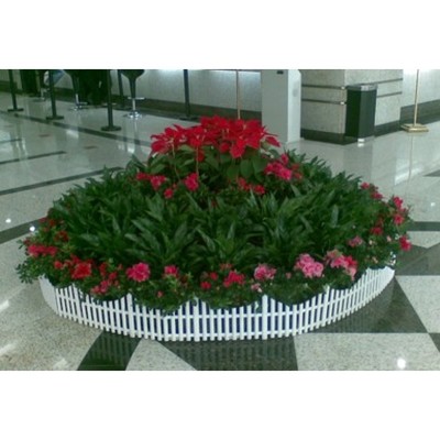 綠意棲居·南磨房 辦公室綠植租擺與室內(nèi)花卉植物出租全解析