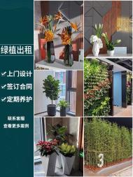 昆明綠植租賃 一站式服務(wù)，讓自然之美融入生活與辦公